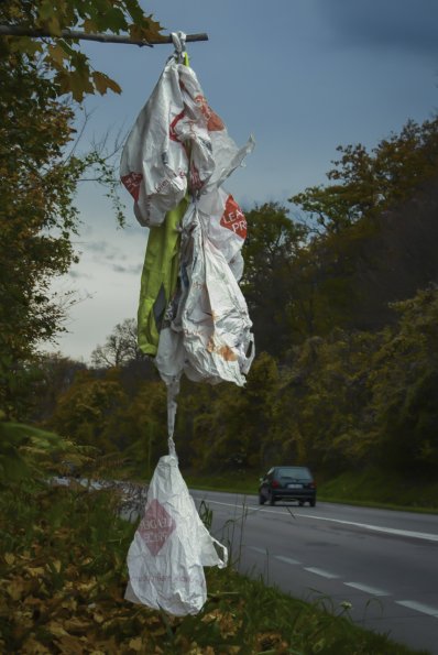 totem route de Maisons-Laffitte Rd 308